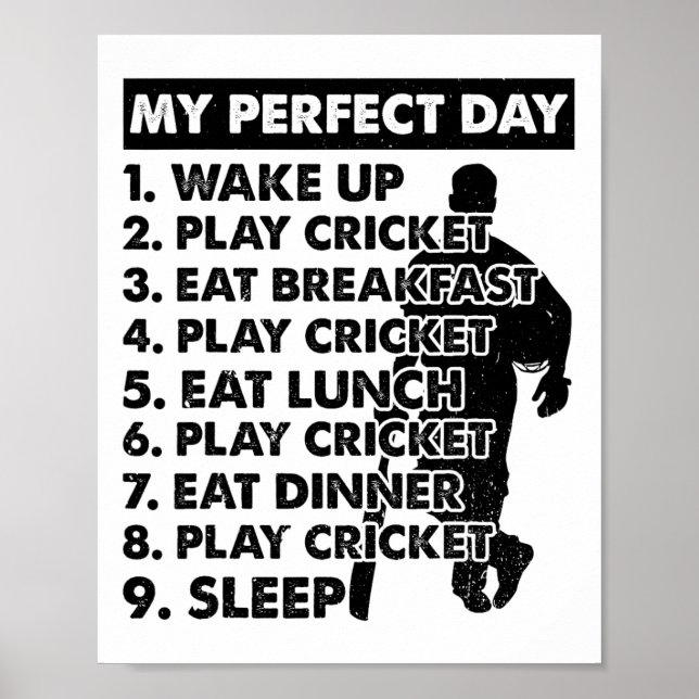 Cricket Day Plan Cricket Player  Poster (Front)