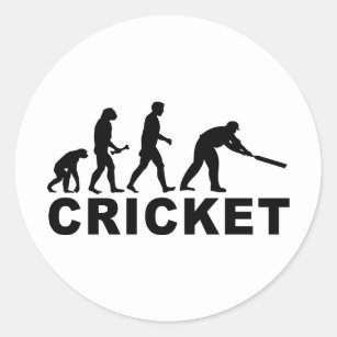 Cricket Evolution Classic Round Sticker