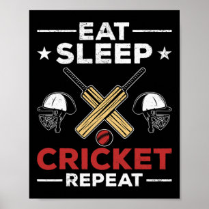Cricket Fans Cricket Lovers Eat Sleep Cricket Play Poster