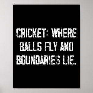 Cricket Fun Fly And Boundaries Lie Comedy Quote Poster