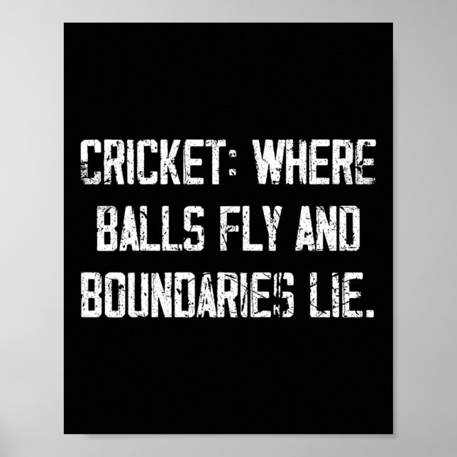 Cricket Fun Fly And Boundaries Lie Comedy Quote  Poster (Front)