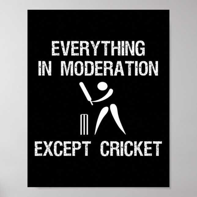 Cricket Game - Funny Moderation - Player  Poster (Front)