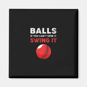 Cricket If You Cant Spin It Swing It Funny Cricket Magnet