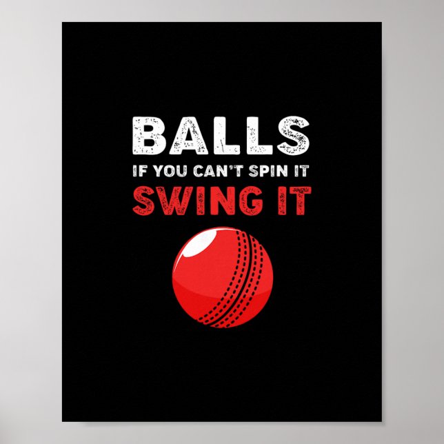 Cricket If You Cant Spin It Swing It Funny Cricket Poster (Front)