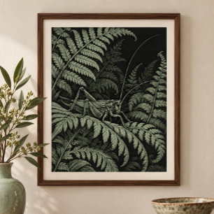 Cricket in the Ferns Art Print