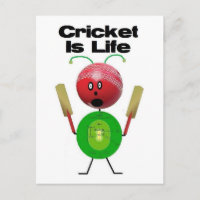 Cricket is Life