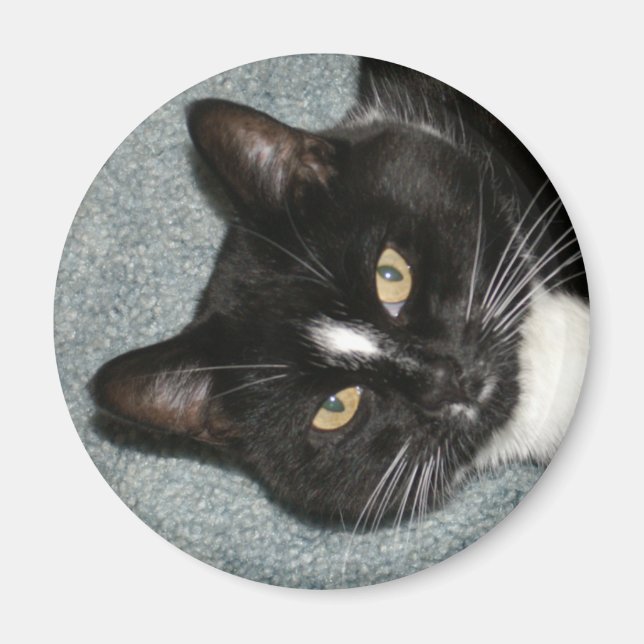 Cricket Magnet (Front)