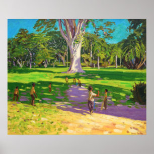 Cricket match Botanical Gardens Dominica Poster