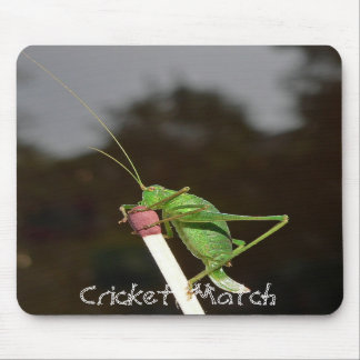 Cricket Match Mouse Mat