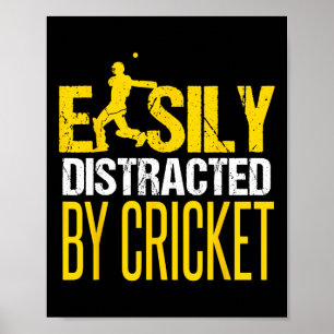 Cricket Player Cricket Men Poster