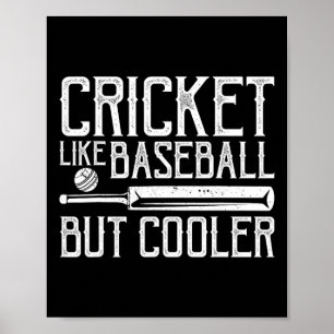 Cricket Player Outfit Cricket Bowler Cricket Match Poster