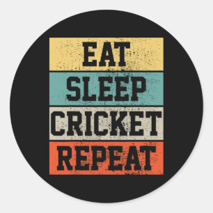 Cricket Player Retro Vintage Funny Gift Classic Round Sticker