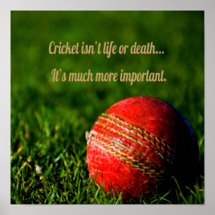 Cricket Red Ball Funny Motivational Poster
