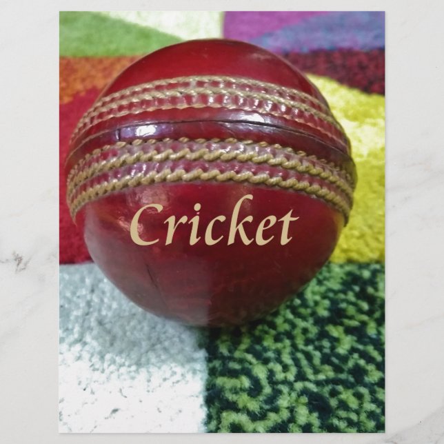 Cricket: Red Hard Ball Art Print (Front)