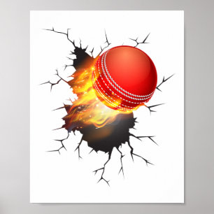 Cricket Shirt For Boys And Men Cricket Ll Of Fire Poster