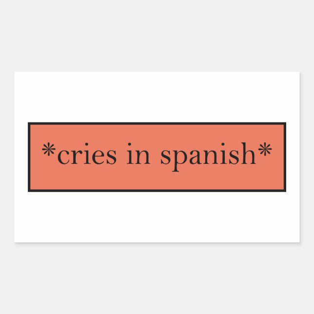Cries in Spanish - Funny Sarcastic Meme Rectangular Sticker (Front)