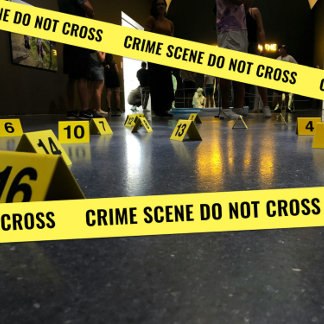 CRIME SCENE police tape crime DO NOT CROSS    Satin Ribbon