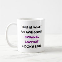 criminal lawyer, awesome