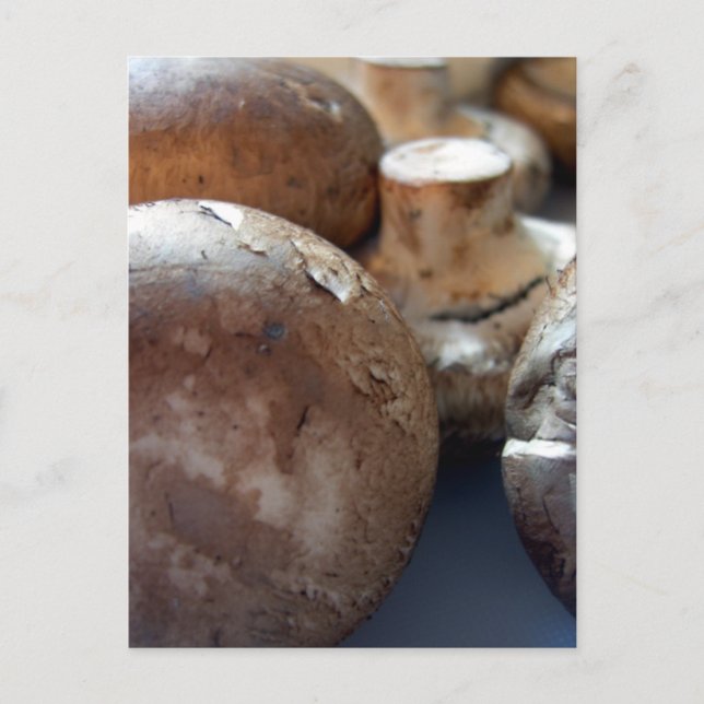 Crimini mushrooms postcard (Front)