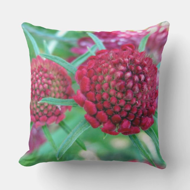 Crimsom Flower Outdoor Throw Pillow (Front)
