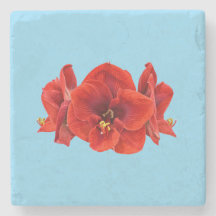 Crimson Amaryllis Flower – Elegant Botanical Bloom