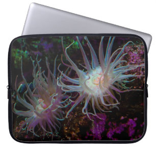 Crimson Anemone Laptop Sleeve