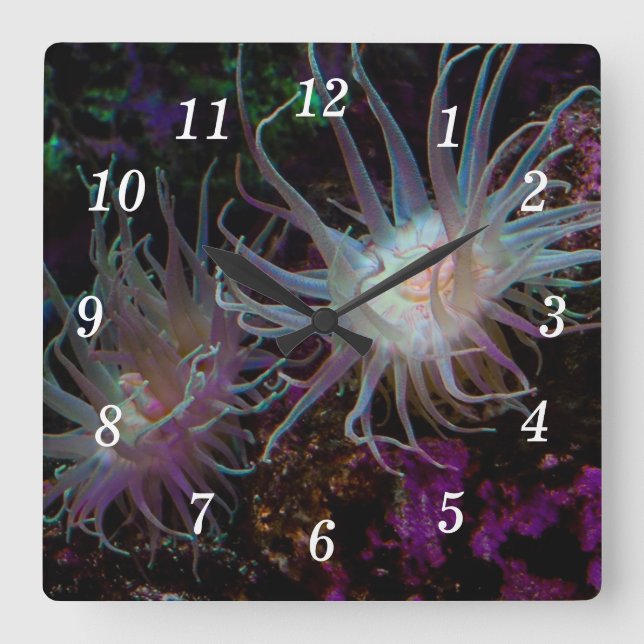 Crimson Anemone Wall Clock (Front)