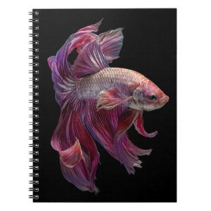 Crimson Betta Fish Grace Notebook