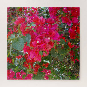 Crimson Blossoms: Dance Of The Red Bougainvilleas Jigsaw Puzzle