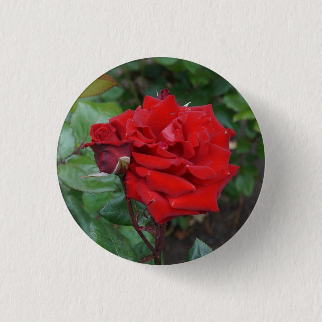 Crimson Bouquet Rose #2 Button (Front)