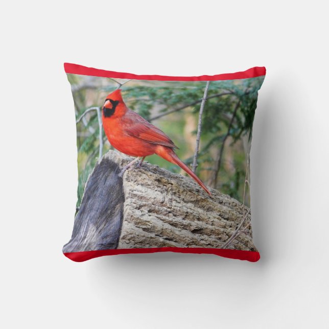 Crimson Cardinal Cushion (Front)