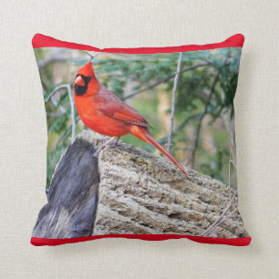 Crimson Cardinal Cushion