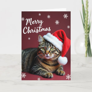 Crimson Cat Christmas Card