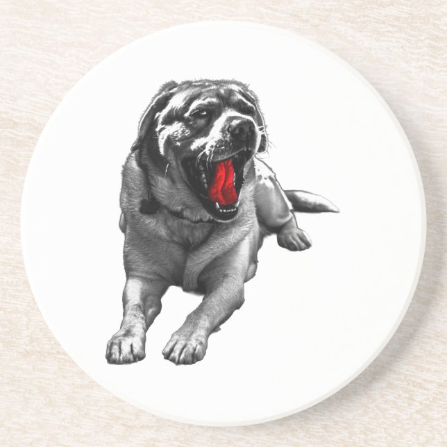 Crimson Cider Companion Coaster (Front)