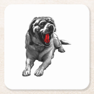 Crimson Cider Companion Square Paper Coaster