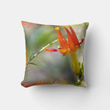 Crimson Columbine Flaming Edge