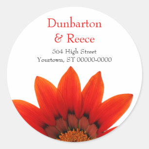 Crimson Daisy Stickers