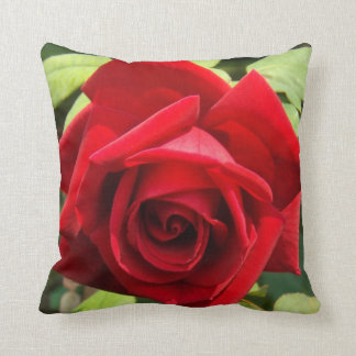 Crimson Glory Rose Pillow
