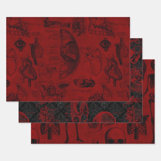 Crimson Gothic vampyre anatomy   Wrapping Paper Sheet (Set)