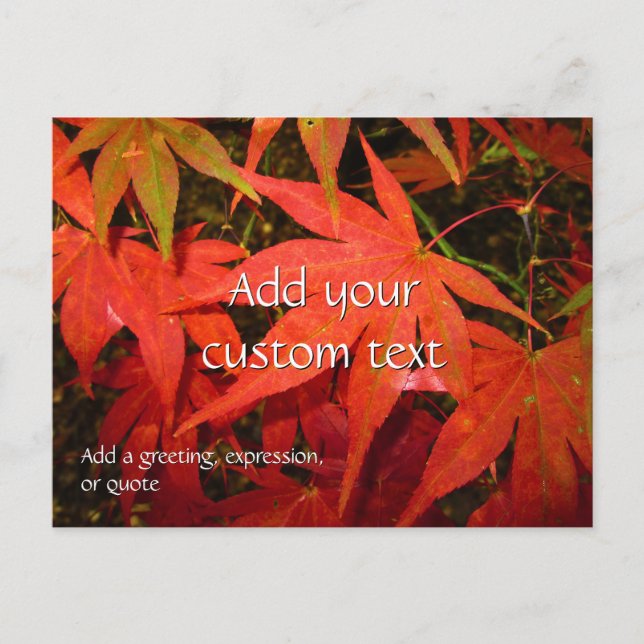 Crimson Maple Leaves - Personalized Postcard (Front)