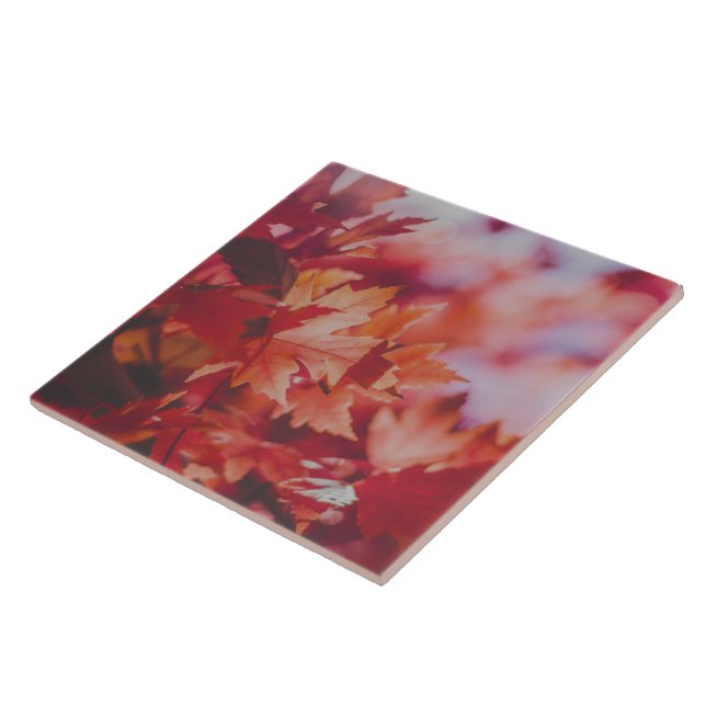 Crimson Maple Reverie Decorative Ceramic Tile (Side)