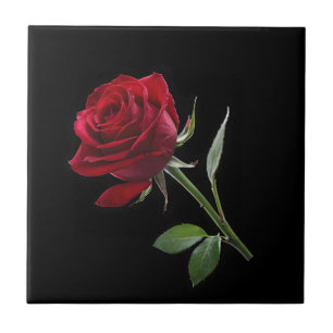 Crimson on Ebony: The Single Red Rose, Ceramic Tile