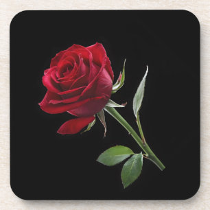 Crimson on Ebony: The Single Red Rose, Coaster