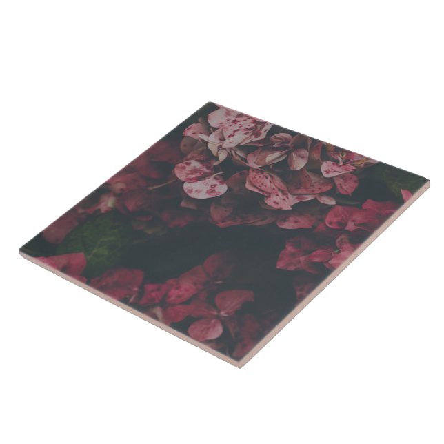 Crimson Petal Shadow Decorative Ceramic Tile (Side)