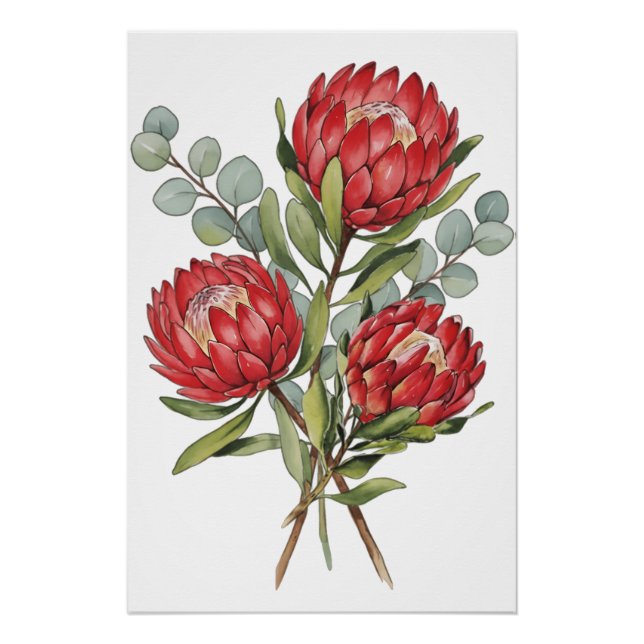 Crimson Protea Bouquet Watercolor Poster (Front)