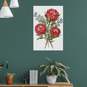 Crimson Protea Bouquet Watercolor Poster