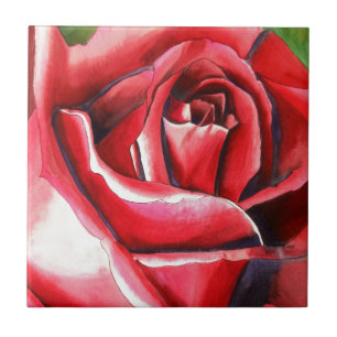 Crimson Red Rose original watercolor art Tile