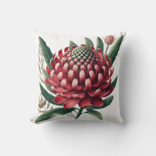 Crimson Red Waratah Australian Native Flower  Cushion