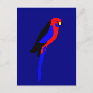 Crimson Rosala - Australian Parrot Postcard