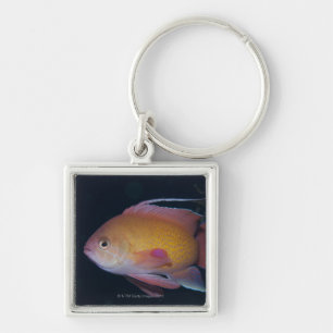 Crimson Seabream Key Ring